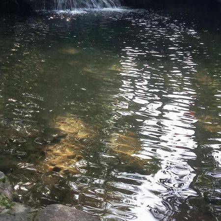 Carvalho De Muriqui 曼加拉蒂巴 外观 照片